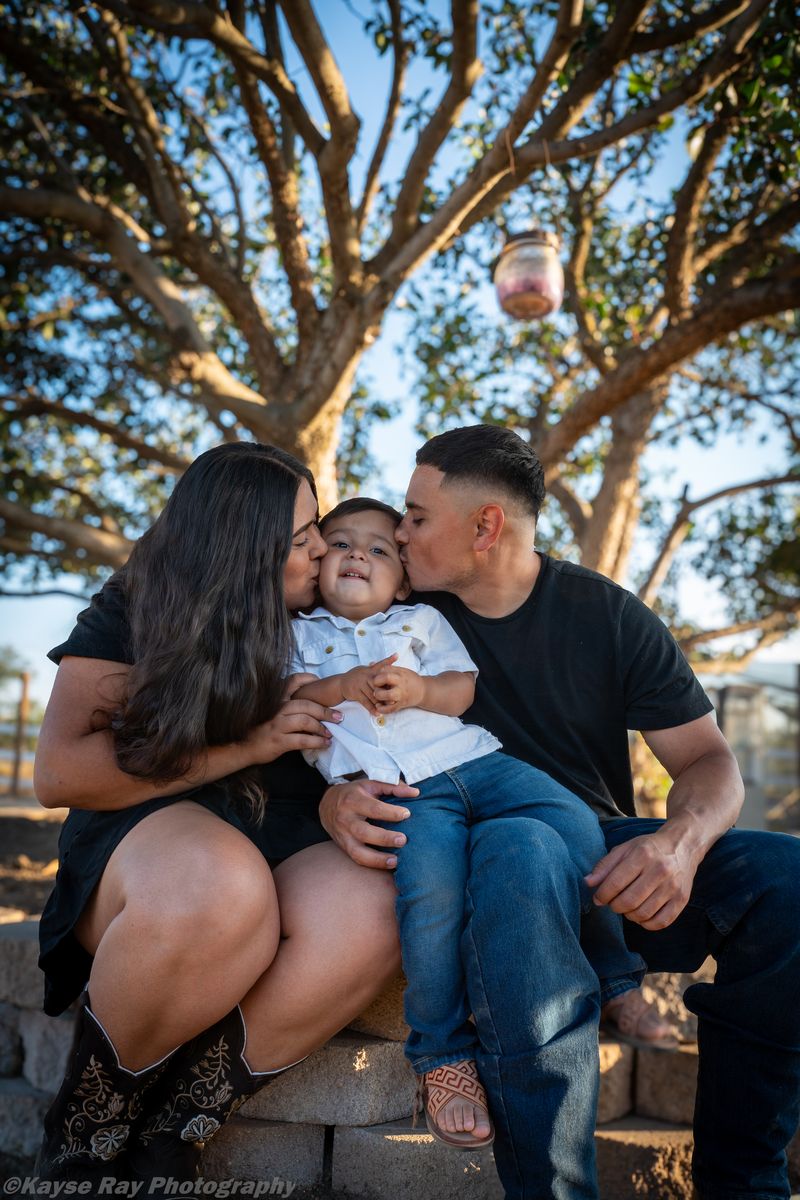 Parents kiss their toddler's cheeks from both sides while seated beneath a sprawling tree with a hanging lantern.