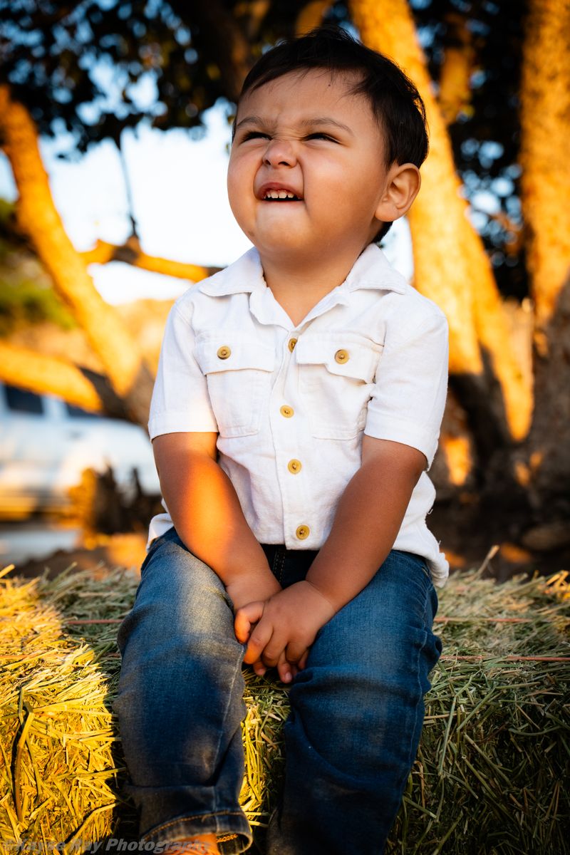 Toddler in a white button-up shirt scrunching his face with delight while sitting on a hay bale in golden-hour light.
