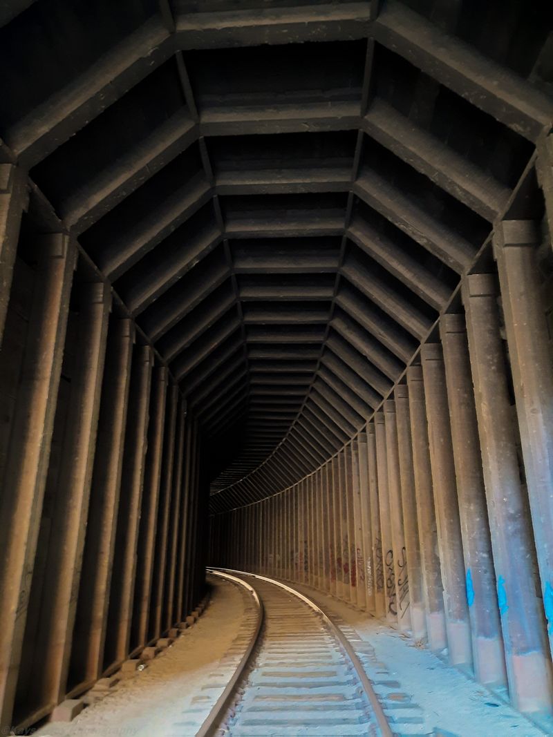 Timber-ribbed railroad tunnel curving into darkness along rusted tracks
